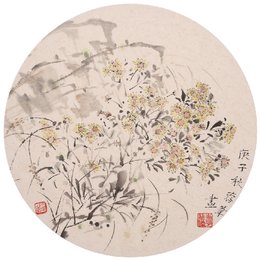 野雏菊