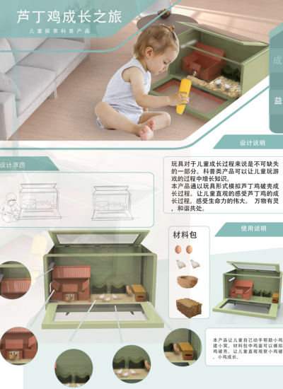 芦丁鸡成长之旅-儿童畜牧业探索科普玩具产品