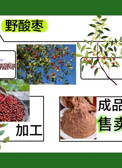 乡村农产品包装与设计